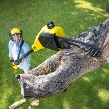 Best Stump Grinding and Removal  in Hanover, PA